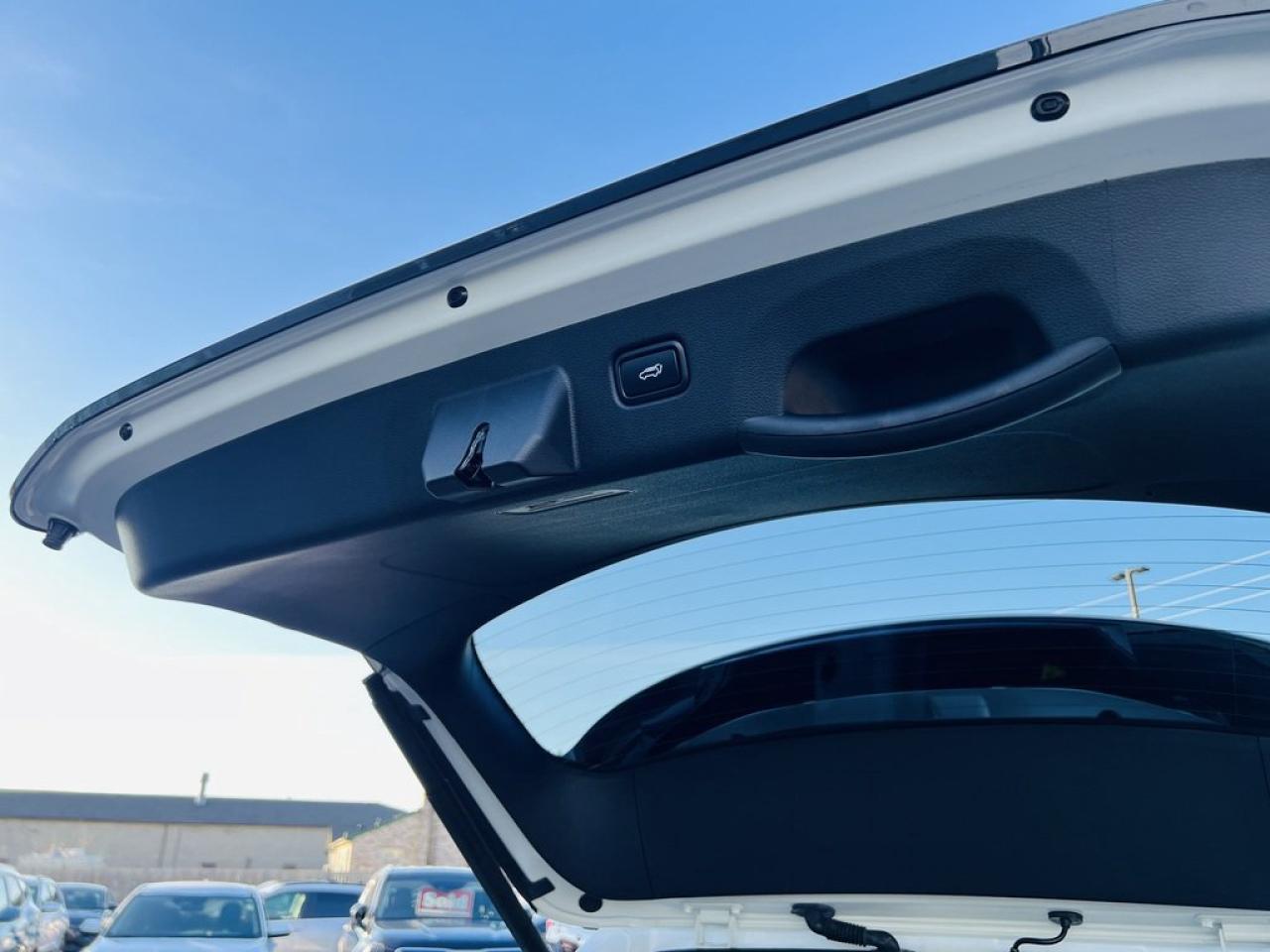 2024 Kia Sportage EX Premium Photo