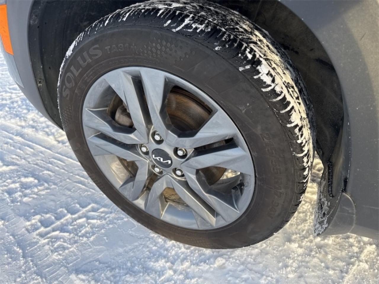 2023 Kia Seltos EX  Sunroof - $192 B/W - Low Mileage Photo