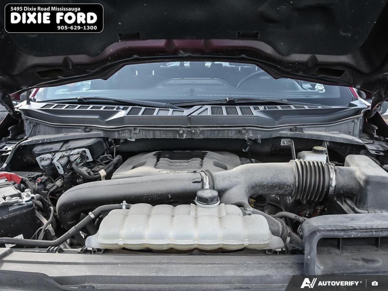 2022 Ford F-150 XLT Photo