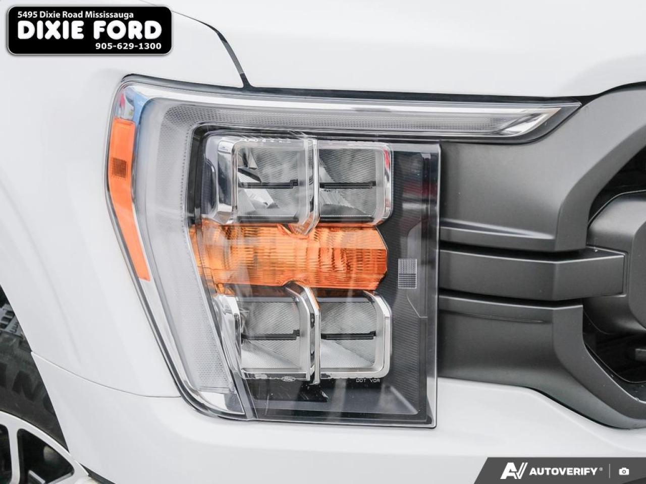 2023 Ford F-150 XLT Photo