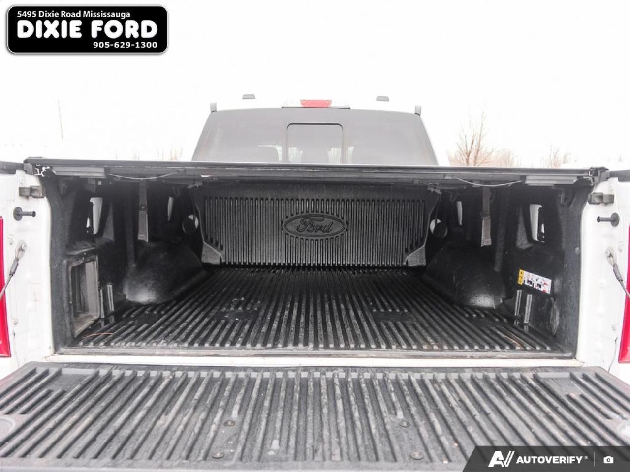 2023 Ford F-150 XLT Photo