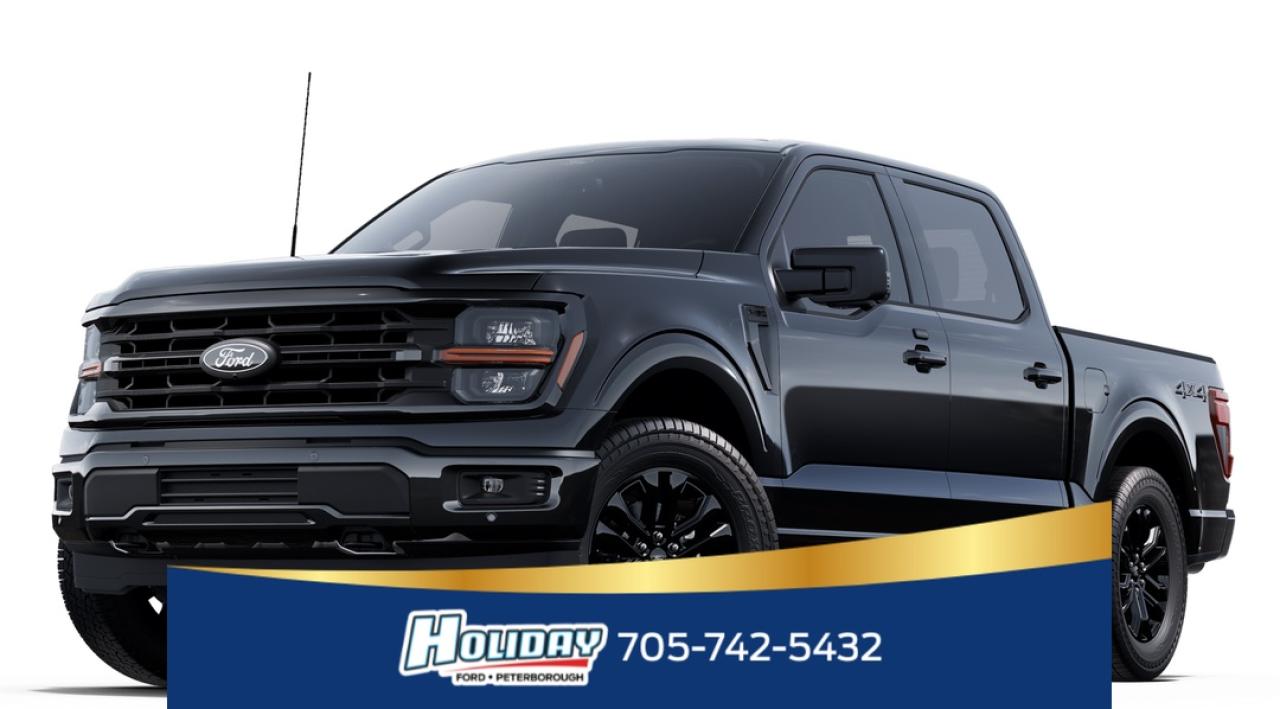 2025 Ford F-150 XLT Photo0