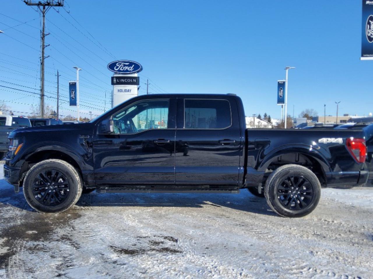 2025 Ford F-150 XLT Photo2