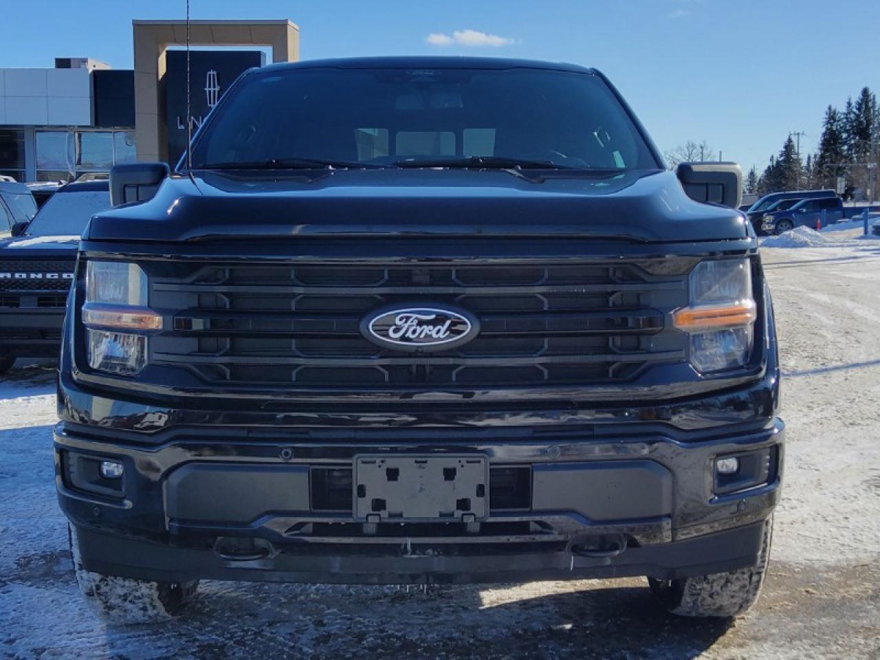2025 Ford F-150 XLT Photo