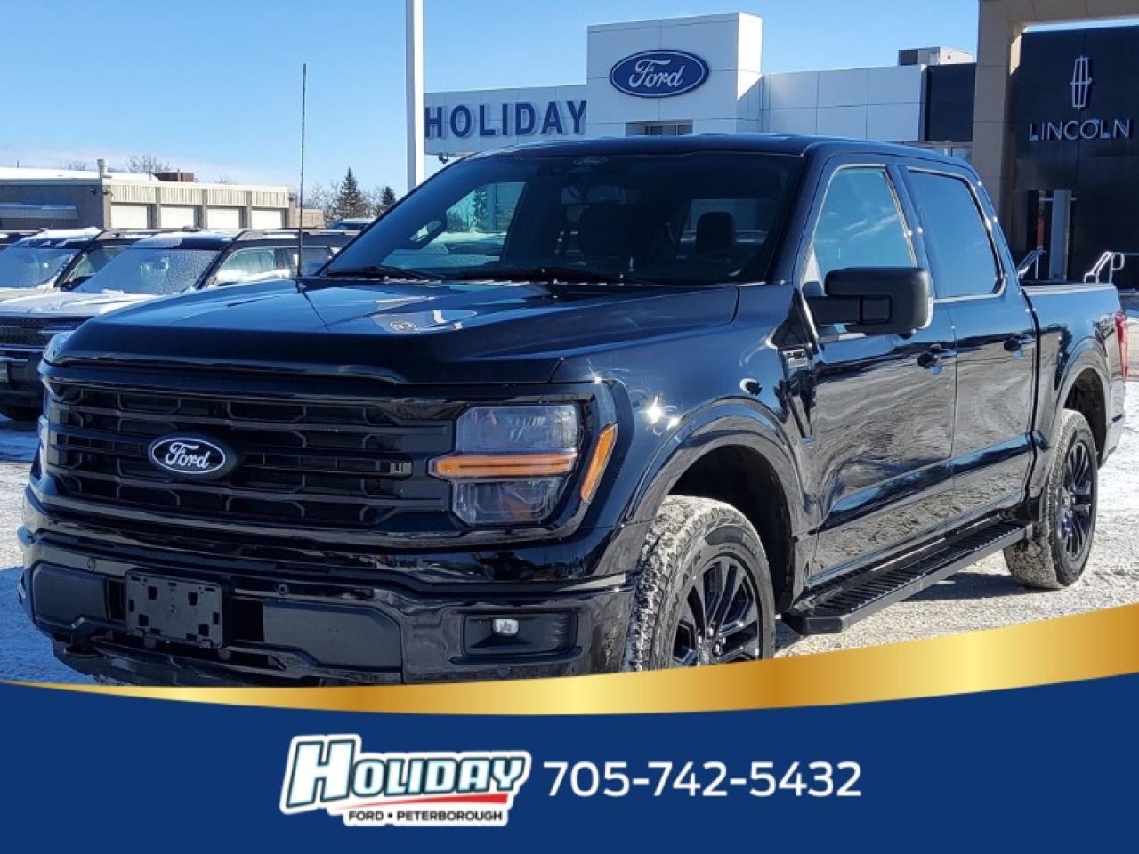 2025 Ford F-150 XLT Photo0