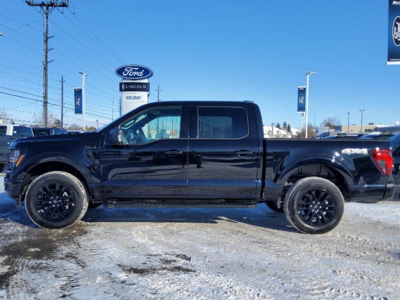 2025 Ford F-150 XLT Photo