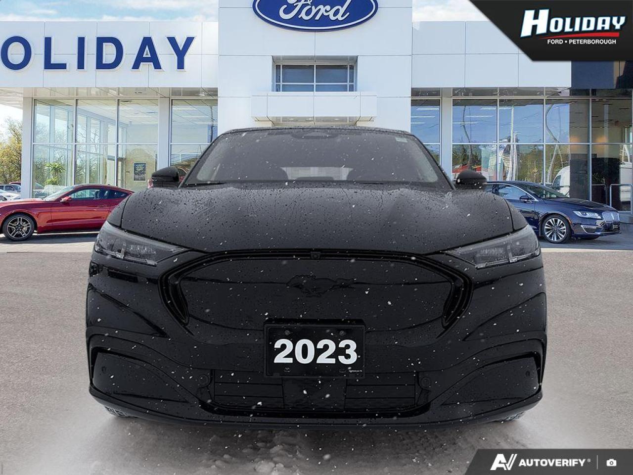 2023 Ford Mustang Mach-E Premium Photo