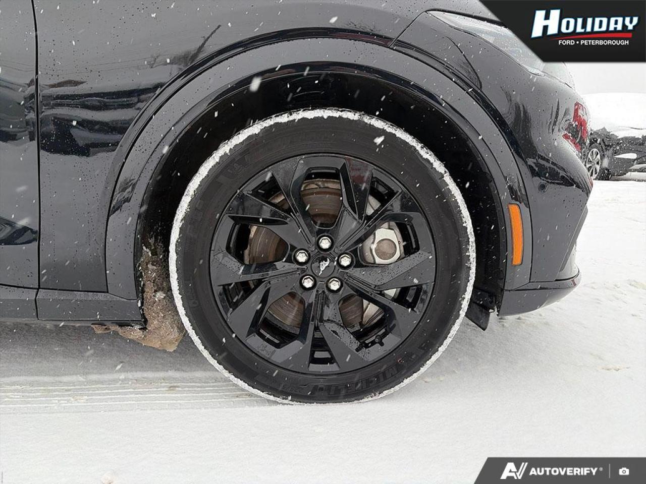 2023 Ford Mustang Mach-E Premium Photo