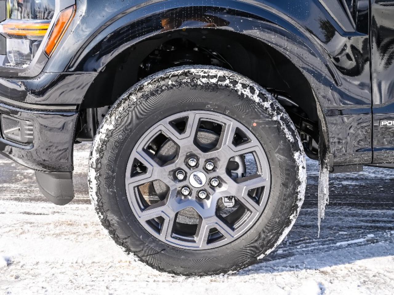 2026 Ford F-150 STX Photo