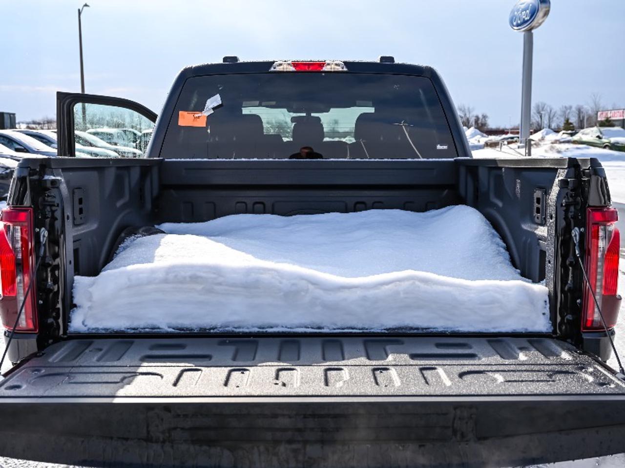 2026 Ford F-150 STX Photo