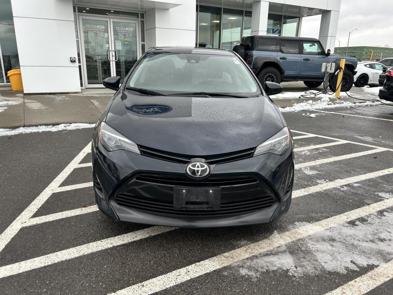2019 Toyota Corolla LE Photo