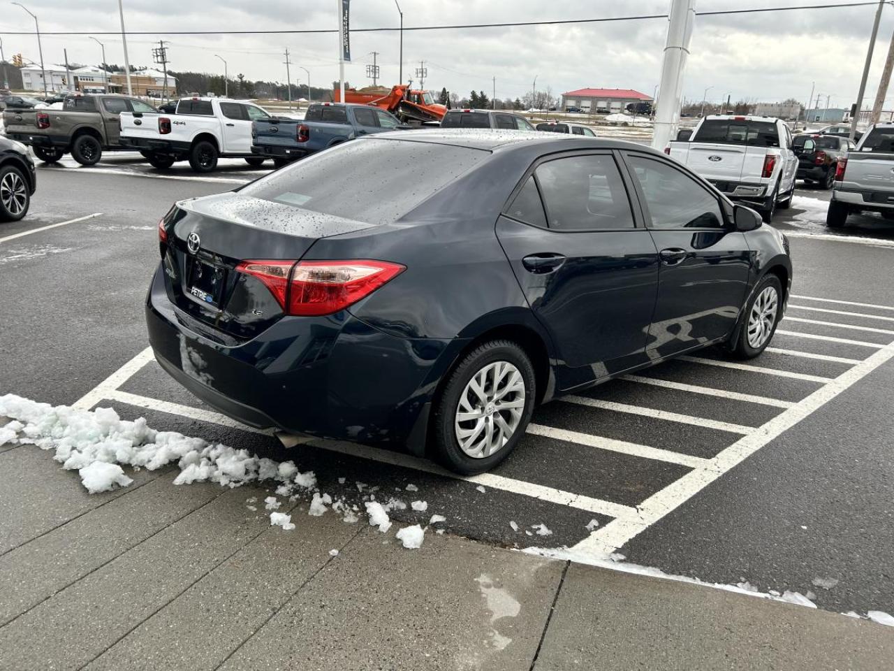 2019 Toyota Corolla LE Photo