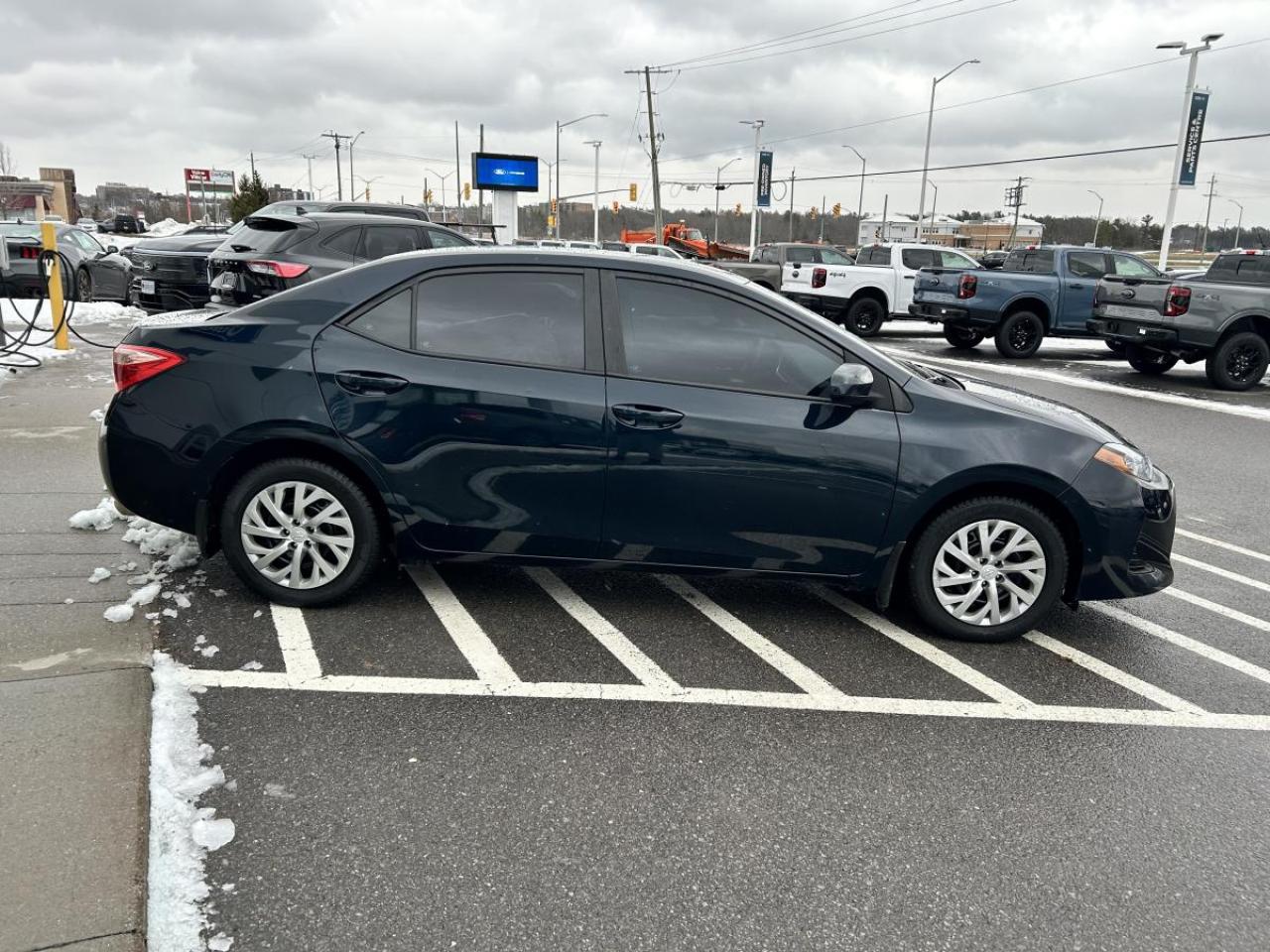 2019 Toyota Corolla LE Photo