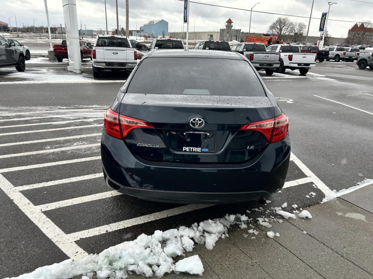 2019 Toyota Corolla LE Photo