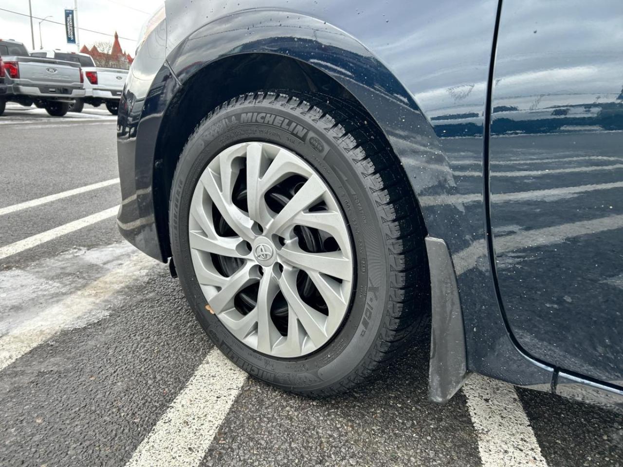 2019 Toyota Corolla LE Photo