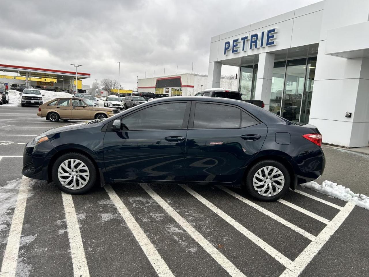 2019 Toyota Corolla LE Photo