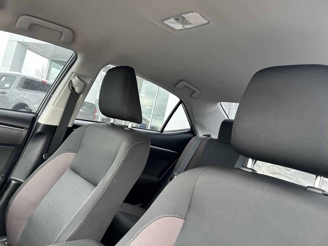 2019 Toyota Corolla LE Photo