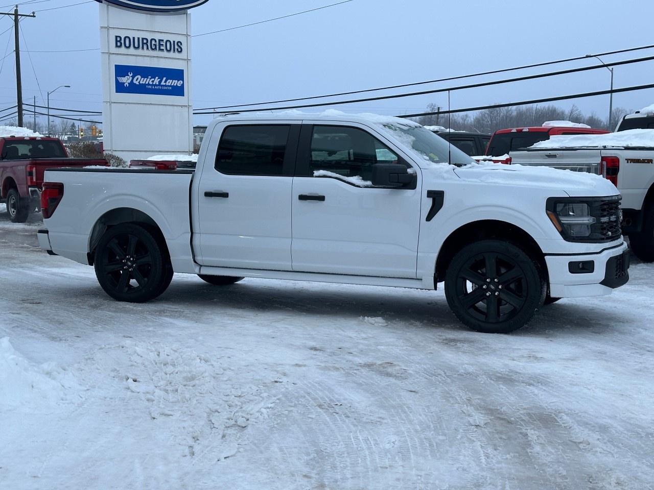 2025 Ford F-150 STX 4WD SuperCrew 5.5' Box Photo4