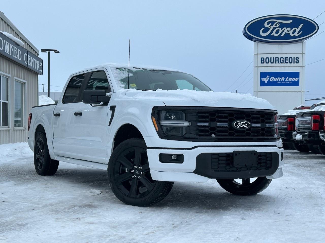 2025 Ford F-150 STX 4WD SuperCrew 5.5' Box Photo0