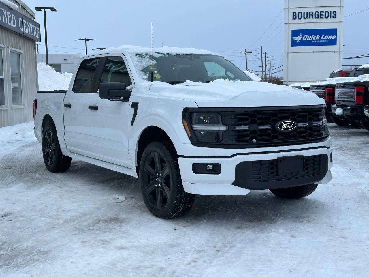 2025 Ford F-150 STX 4WD SuperCrew 5.5' Box Photo