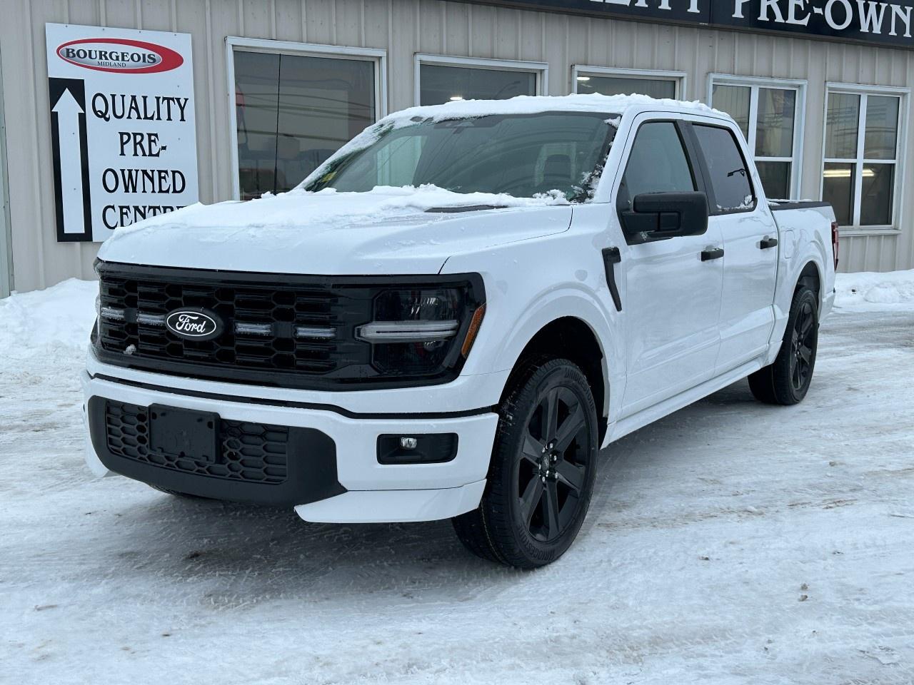 2025 Ford F-150 STX 4WD SuperCrew 5.5' Box Photo