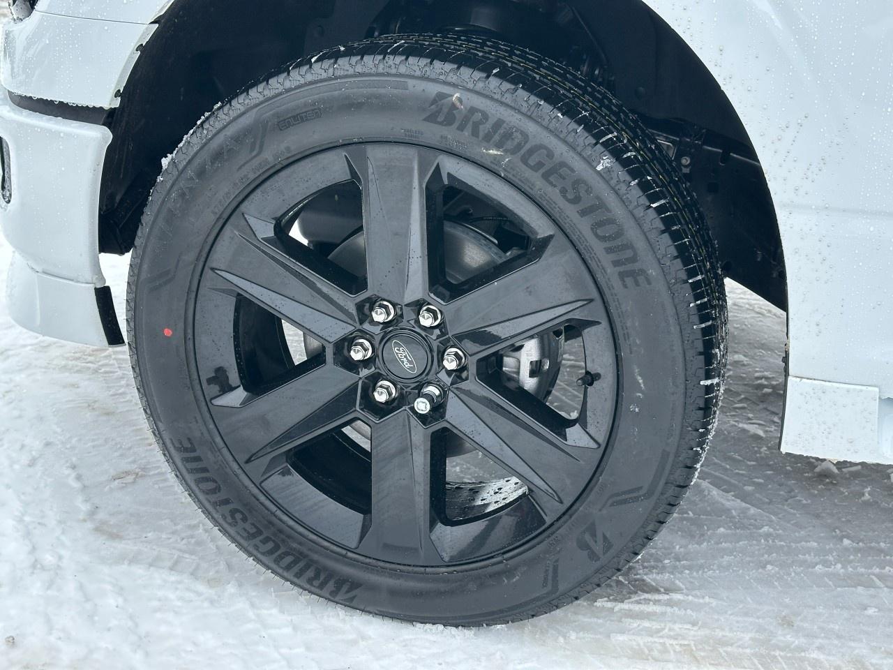 2025 Ford F-150 STX 4WD SuperCrew 5.5' Box Photo