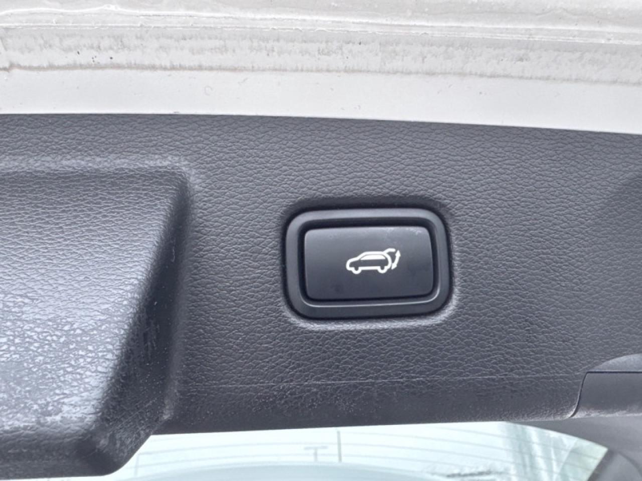 2021 Kia Telluride SX Limited Nightsky Edition Photo