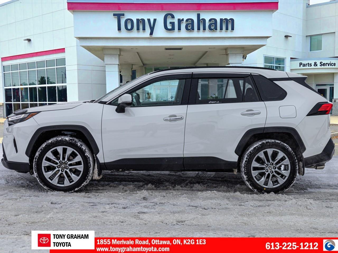 2022 Toyota RAV4 LIMITED  Photo