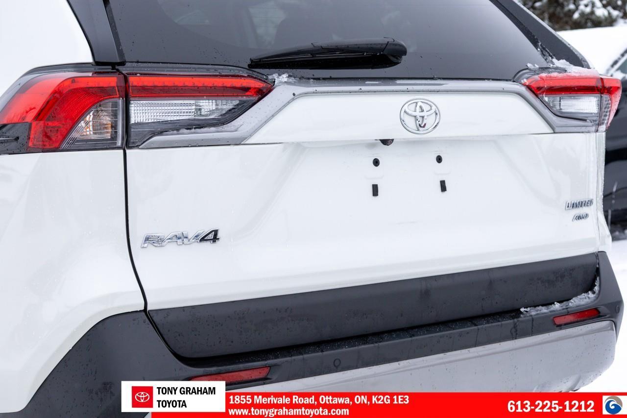 2022 Toyota RAV4 LIMITED  Photo