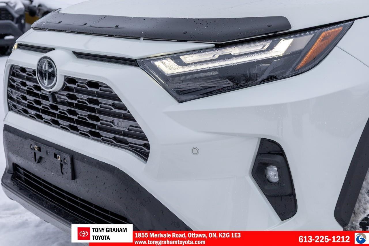 2022 Toyota RAV4 LIMITED  Photo