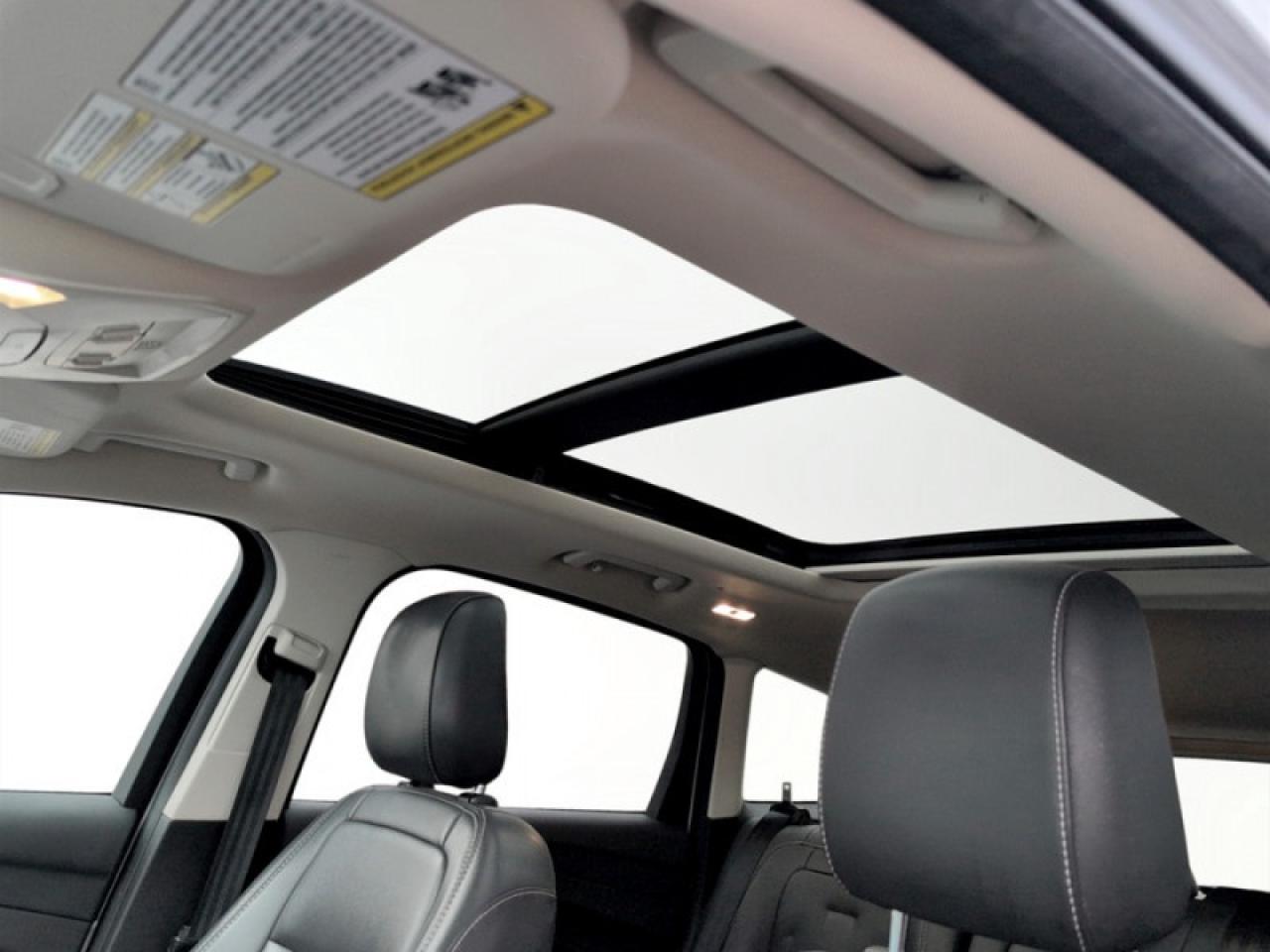 2019 Ford Escape SEL Photo