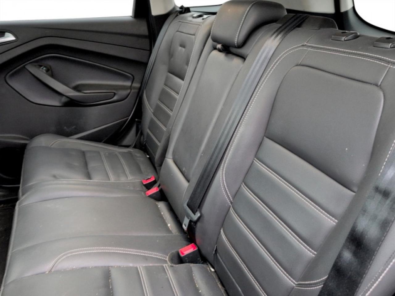 2019 Ford Escape SEL Photo