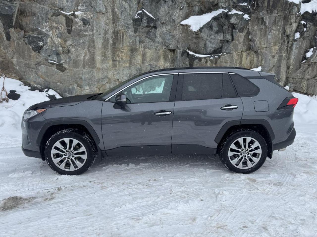 2019 Toyota RAV4 AWD LIMITED Photo