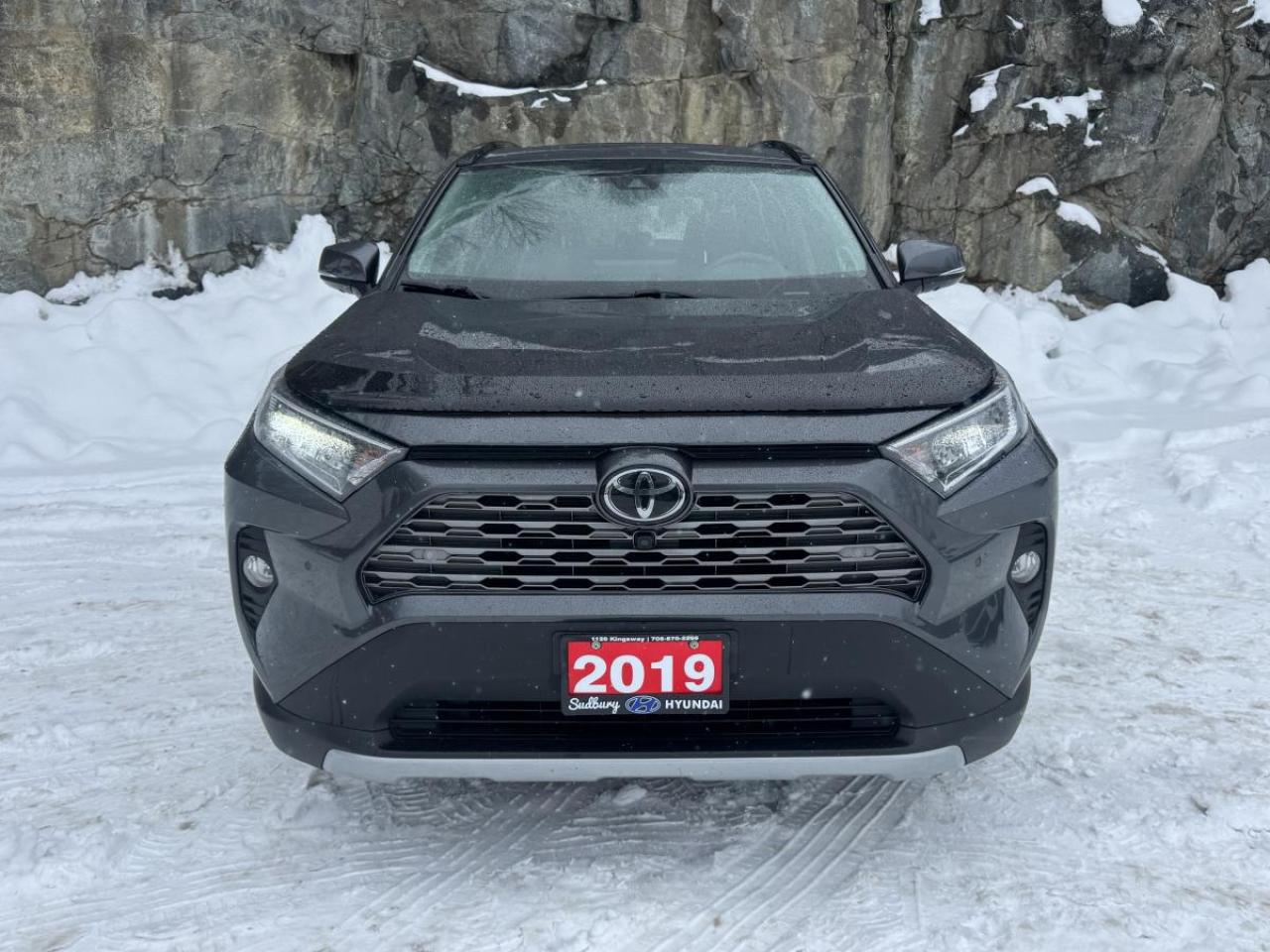 2019 Toyota RAV4 AWD LIMITED Photo
