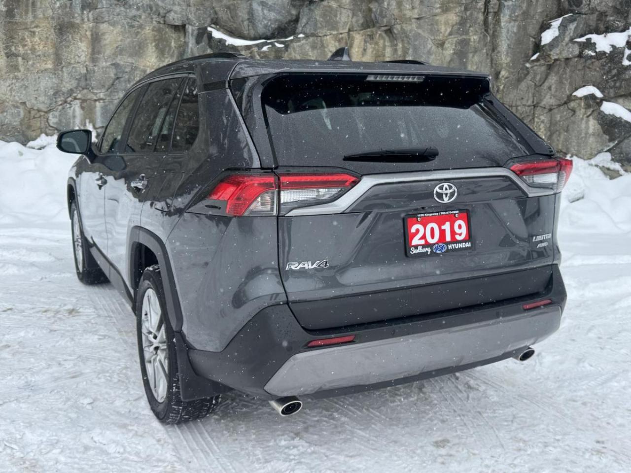 2019 Toyota RAV4 AWD LIMITED Photo