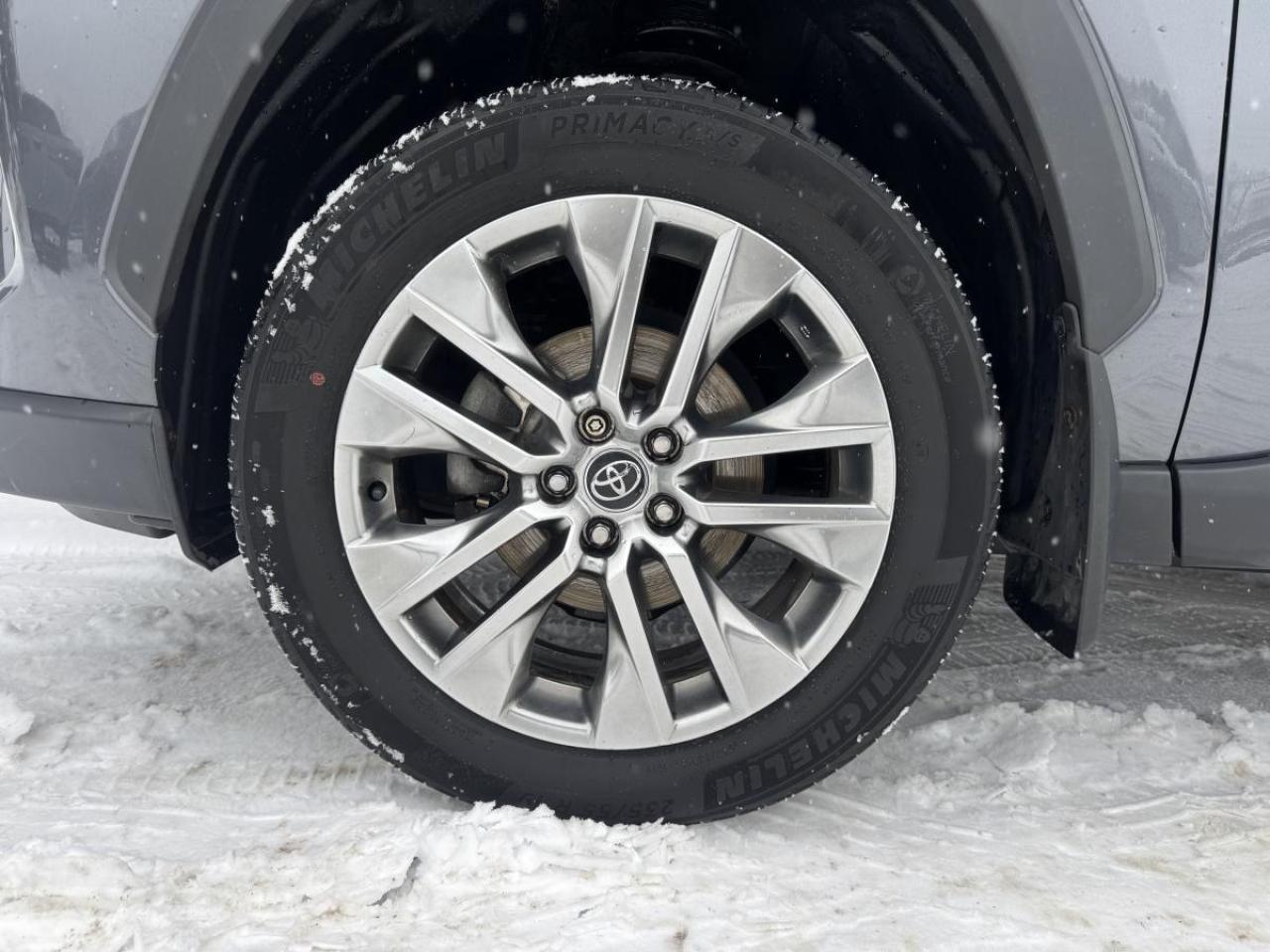 2019 Toyota RAV4 AWD LIMITED Photo