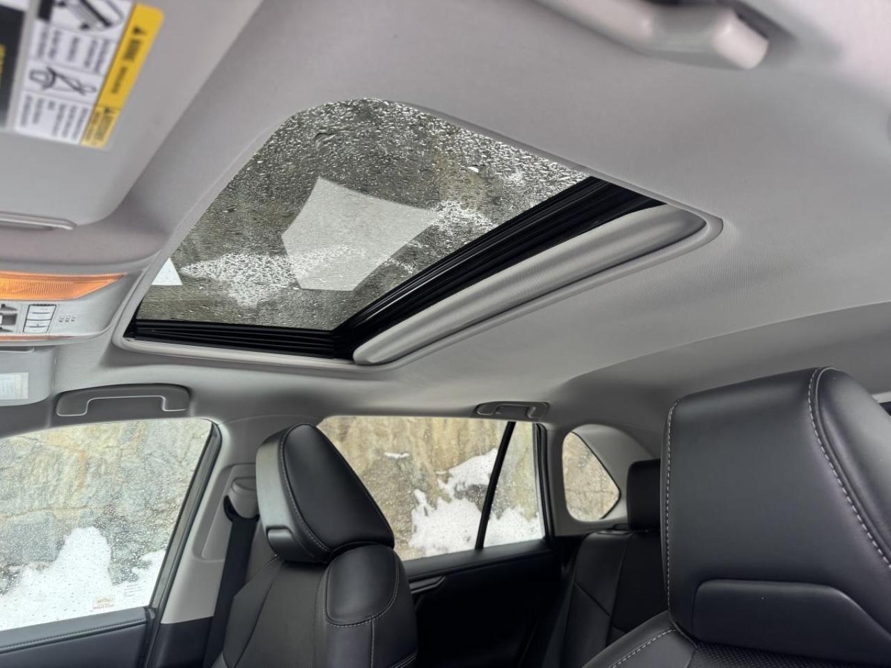 2019 Toyota RAV4 AWD LIMITED Photo