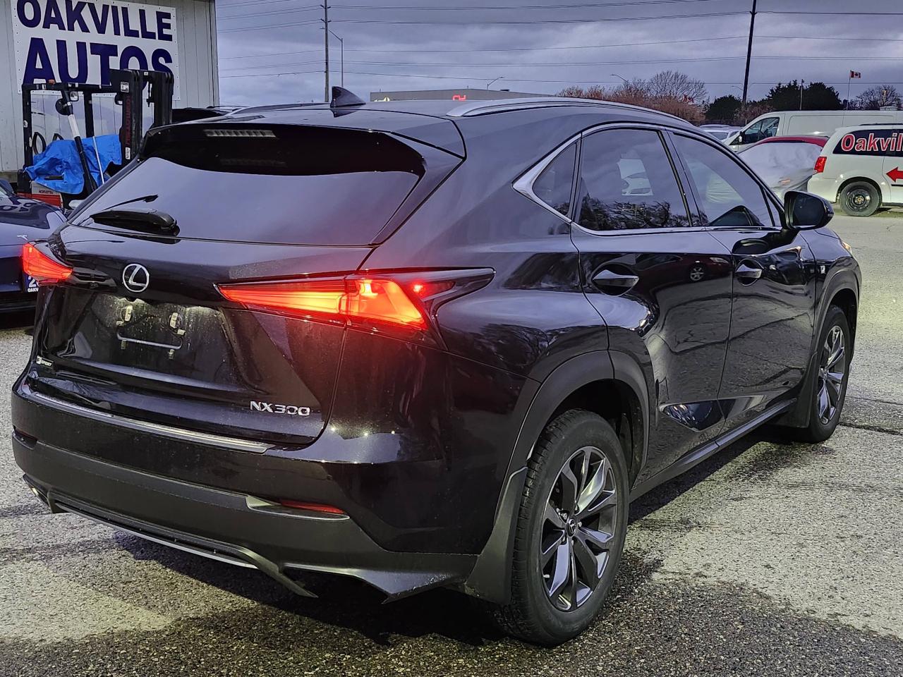 2021 Lexus NX NX 300 F-Sport 2 AWD Photo