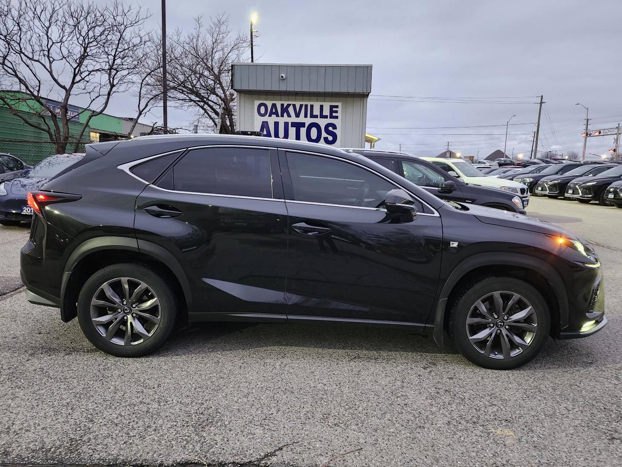 2021 Lexus NX NX 300 F-Sport 2 AWD Photo