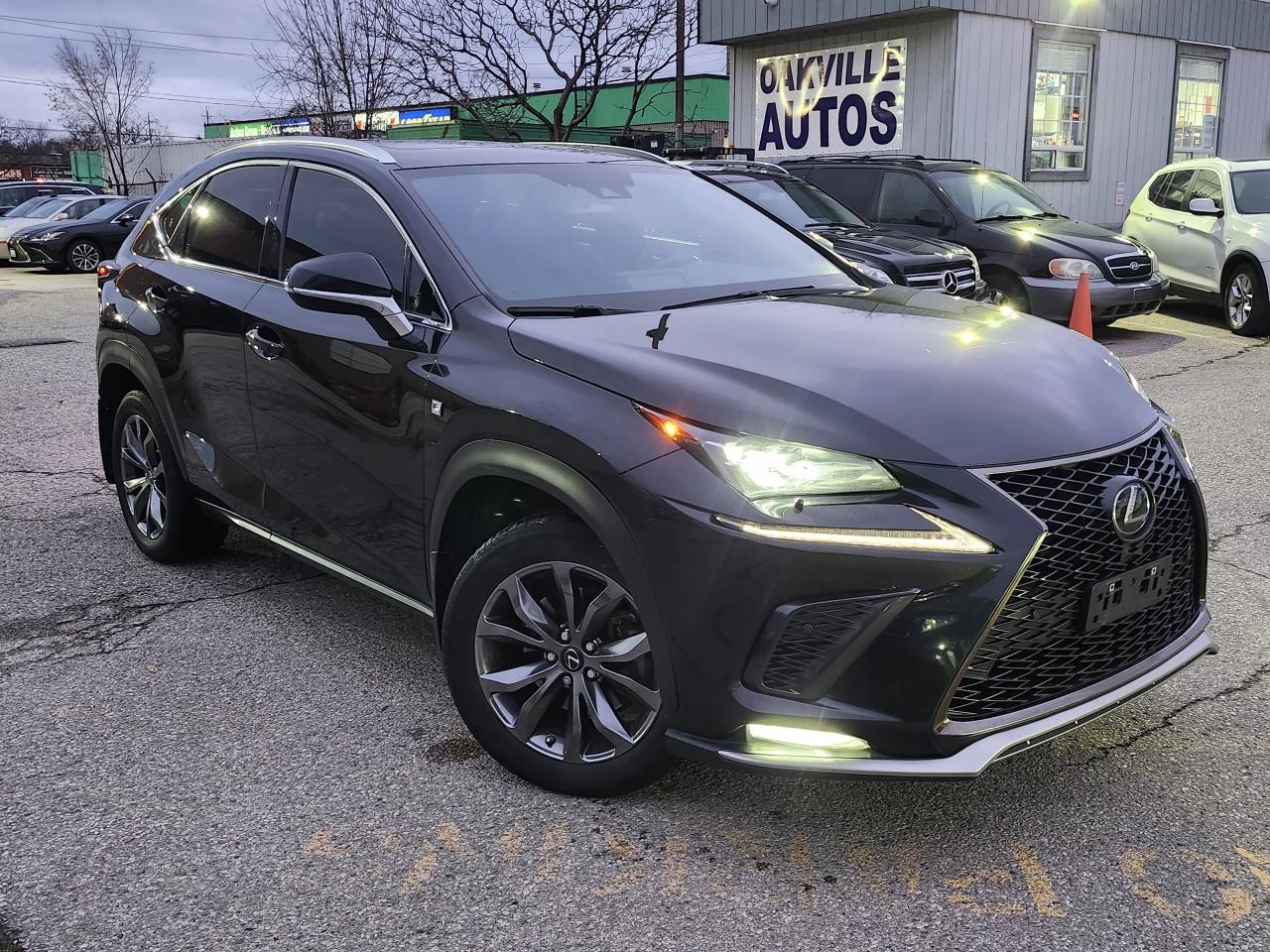 2021 Lexus NX NX 300 F-Sport 2 AWD Photo