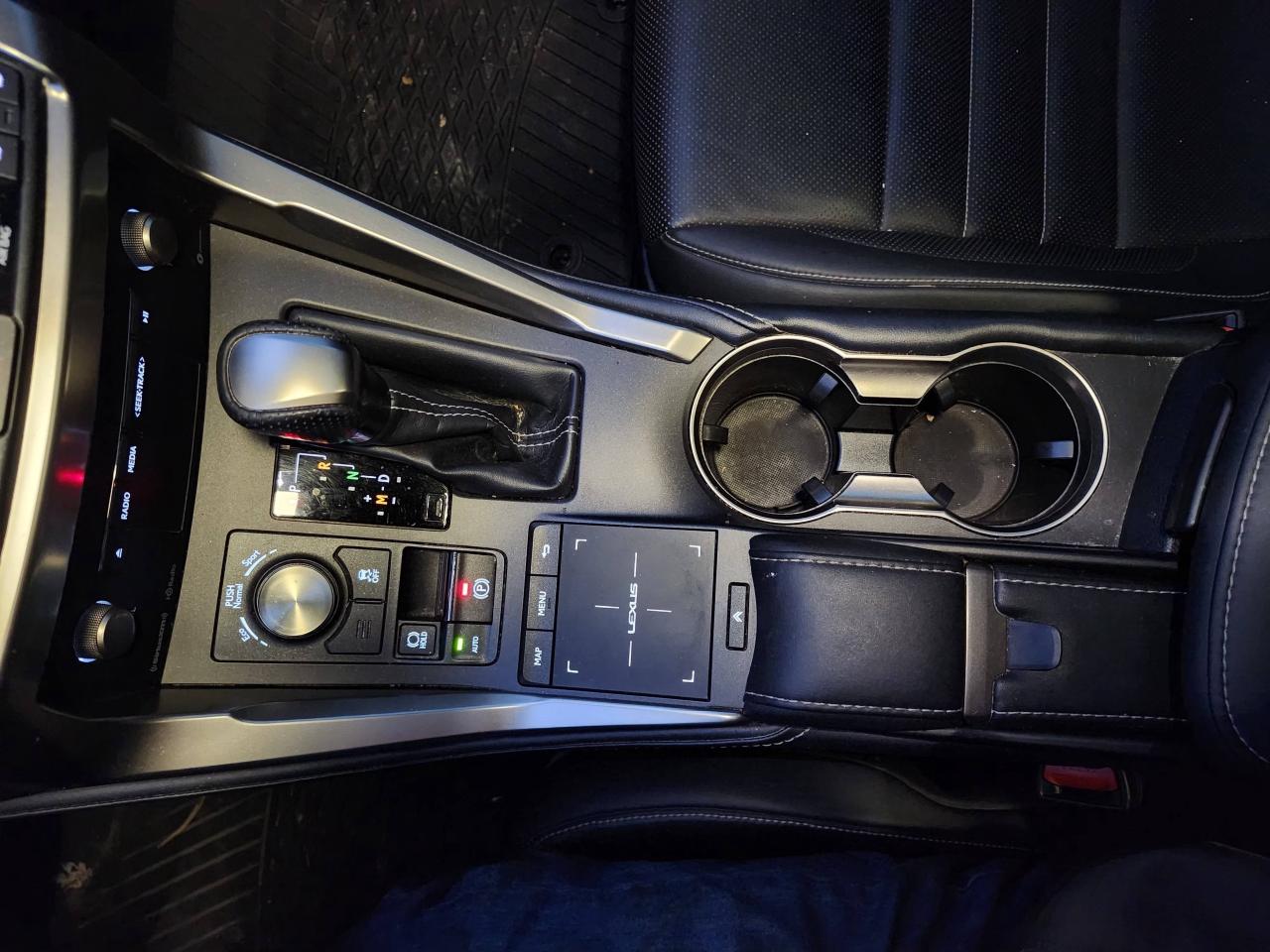 2021 Lexus NX NX 300 F-Sport 2 AWD Photo