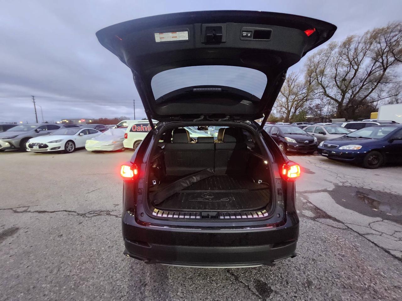 2021 Lexus NX NX 300 F-Sport 2 AWD Photo