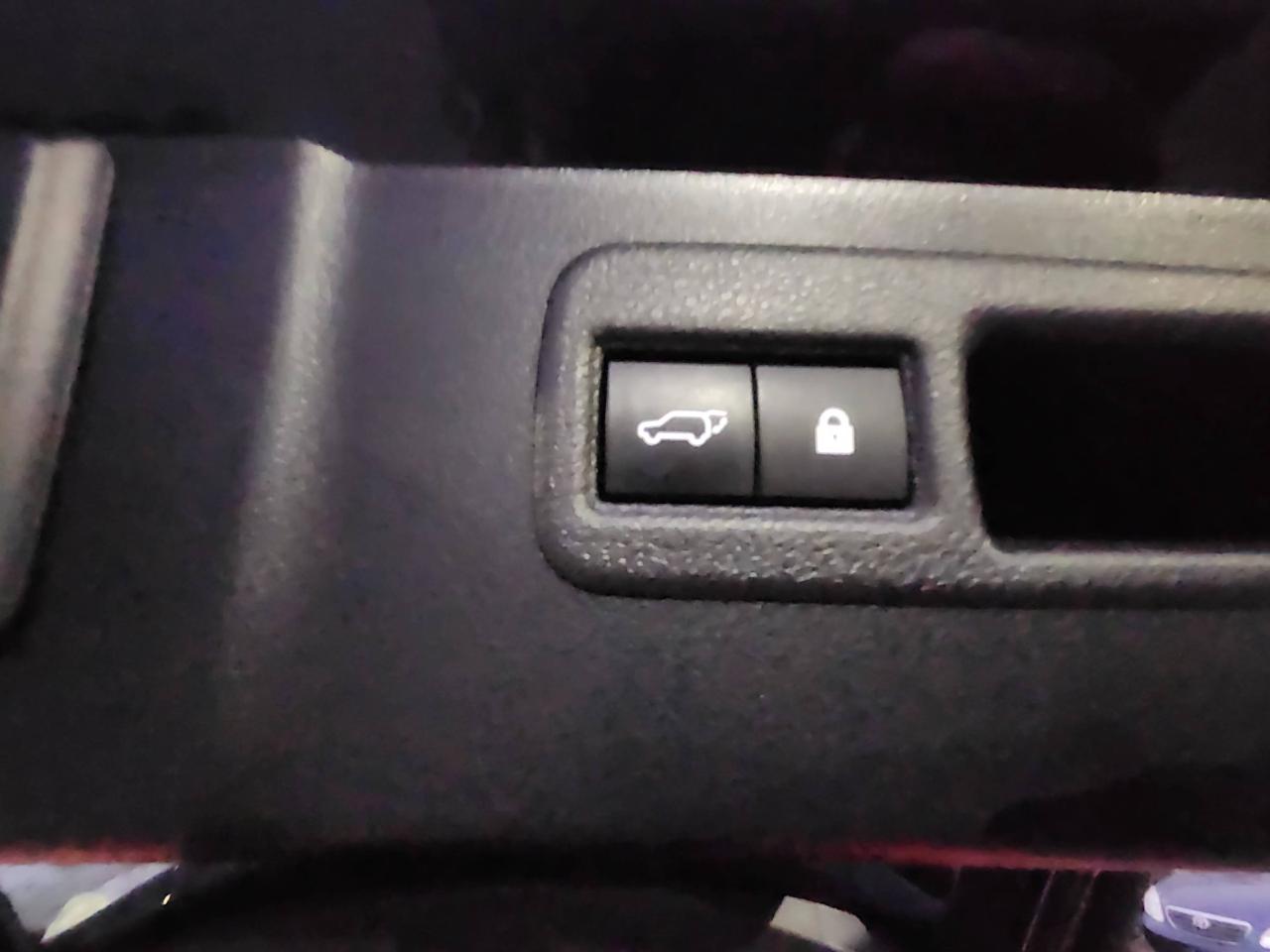 2021 Lexus NX NX 300 F-Sport 2 AWD Photo