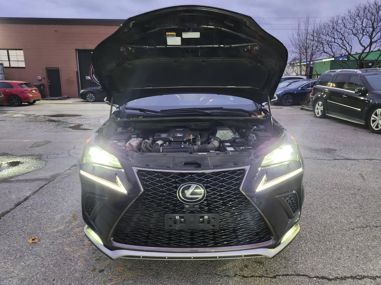 2021 Lexus NX NX 300 F-Sport 2 AWD Photo