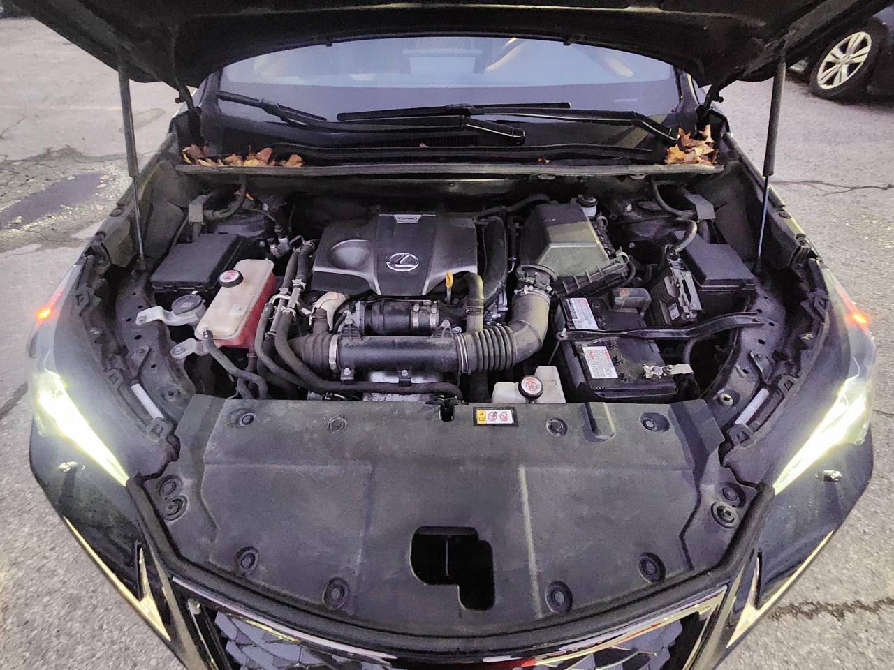 2021 Lexus NX NX 300 F-Sport 2 AWD Photo