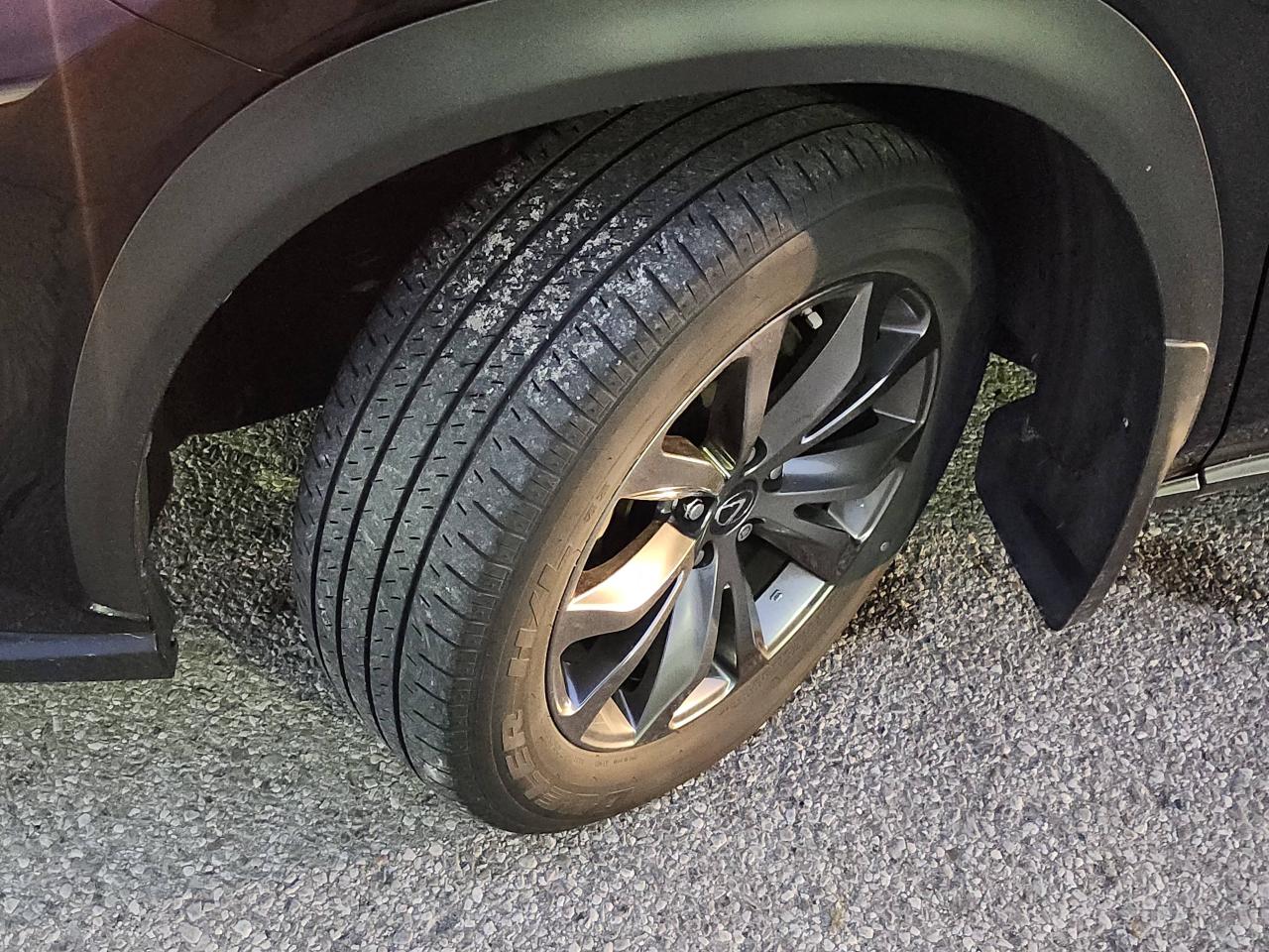 2021 Lexus NX NX 300 F-Sport 2 AWD Photo