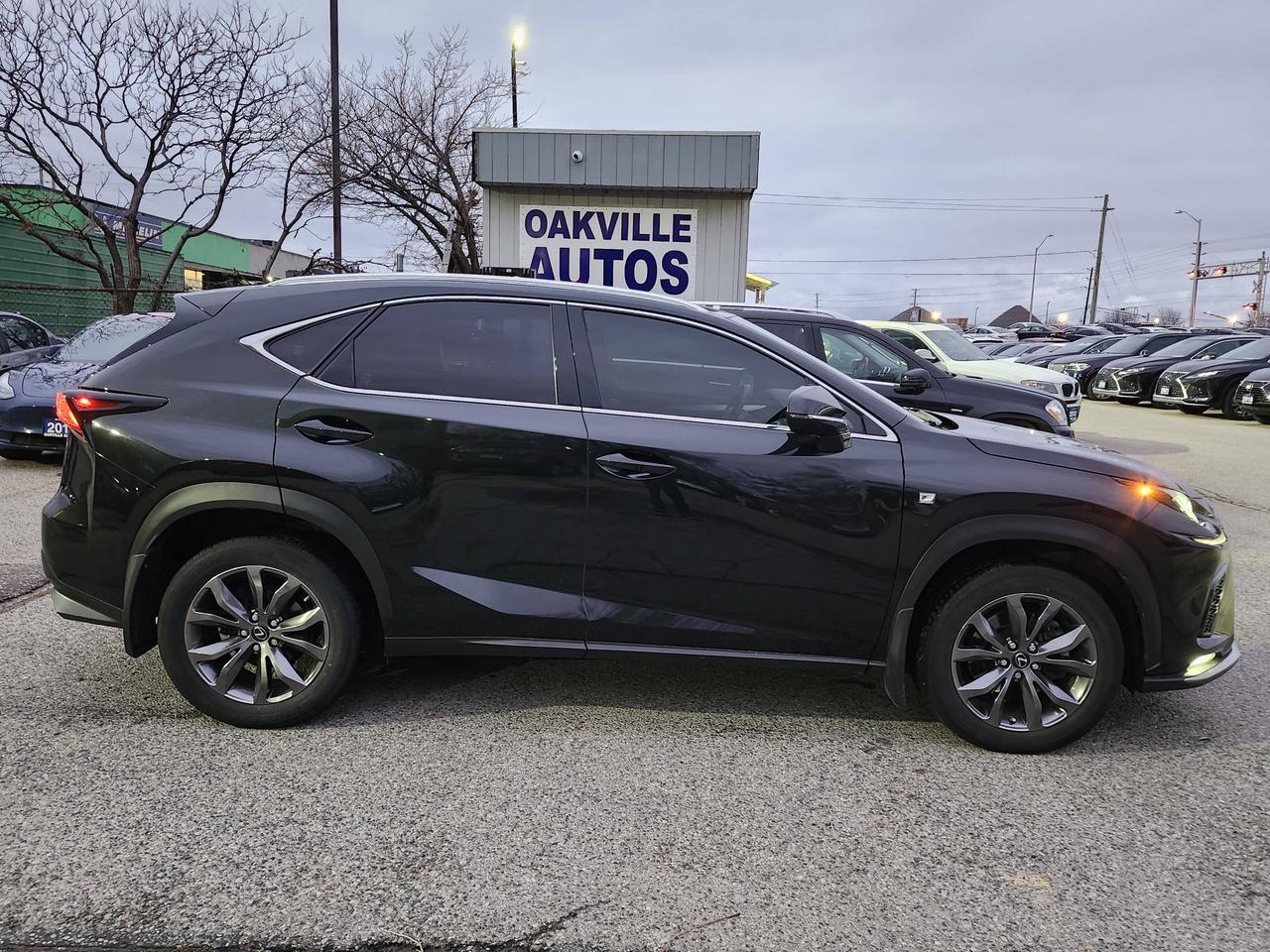 2021 Lexus NX NX 300 F-Sport 2 AWD Photo