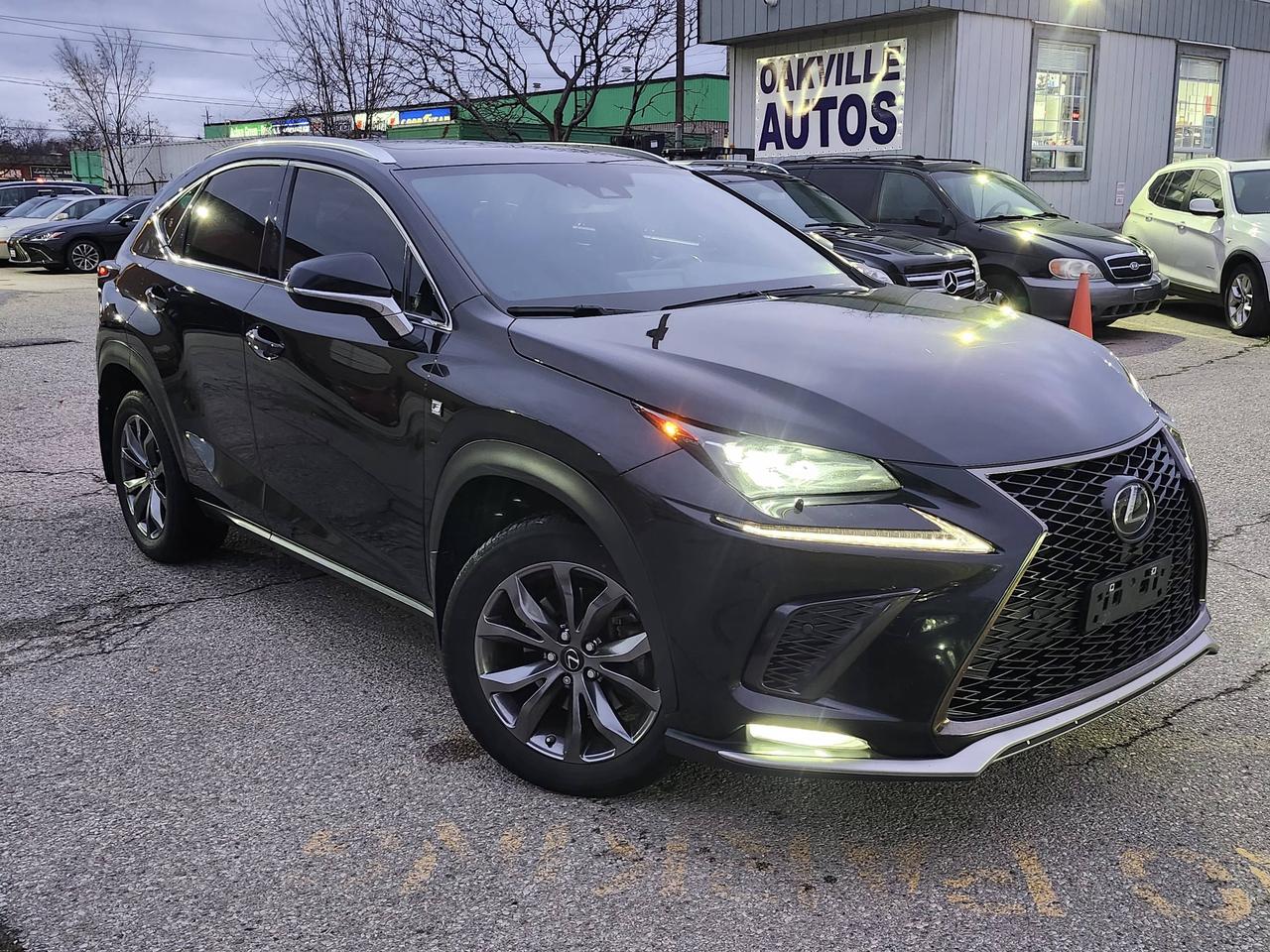 2021 Lexus NX NX 300 F-Sport 2 AWD Photo