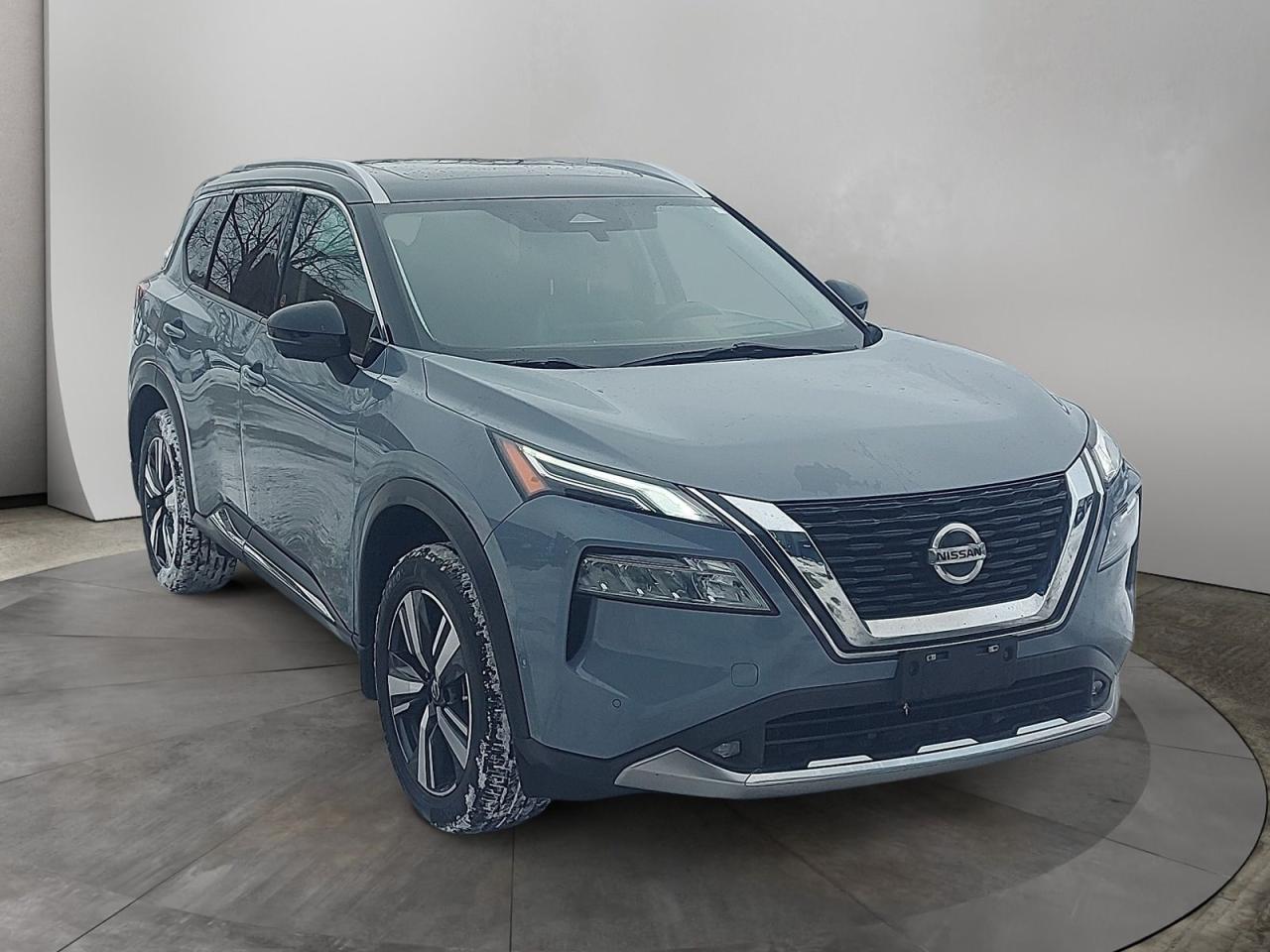 2021 Nissan Rogue Platinum Photo