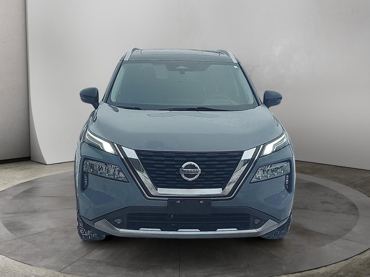 2021 Nissan Rogue Platinum Photo2